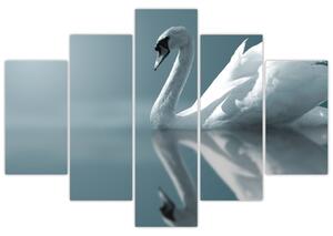 Obraz: labuť (Obraz 150x105cm)