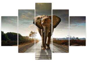 Obraz kráčajúceho slona (Obraz 150x105cm)