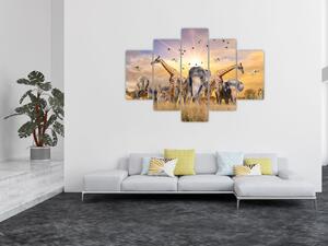 Obraz - Africké zvieratá (150x105 cm)