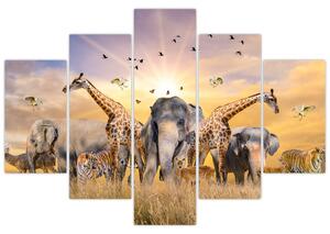 Obraz - safari (Obraz 150x105cm)