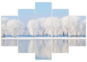 Obraz - zimná príroda (Obraz 150x105cm)