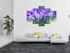 Obraz kvetov pri daždi (Obraz 150x105cm)