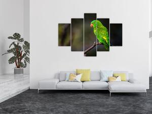 Obraz zeleného papagája (Obraz 150x105cm)