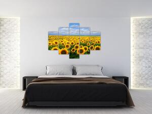 Obraz - slnečnica (Obraz 150x105cm)