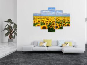 Obraz - slnečnica (Obraz 150x105cm)