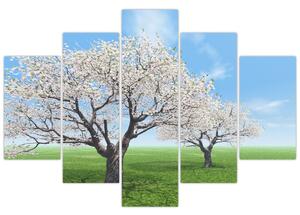 Obraz kvitnúceho stromu na jarné lúke (Obraz 150x105cm)
