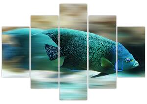 Obraz na stenu - ryby (Obraz 150x105cm)