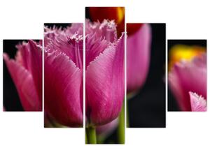 Tulipány - obrazy (Obraz 150x105cm)