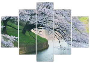 Obraz kvitnúcich stromov (Obraz 150x105cm)