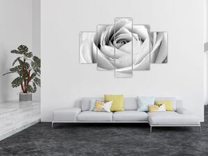 Obraz - Detail kvetu ruže (150x105 cm)