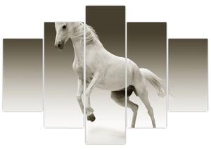 Obrazy bieleho koňa (Obraz 150x105cm)