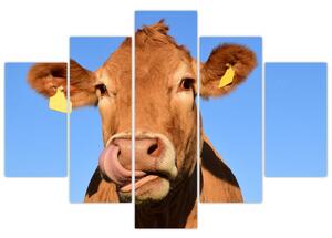 Obraz kravy (Obraz 150x105cm)
