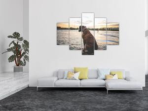 Obraz - sediaci pes (Obraz 150x105cm)