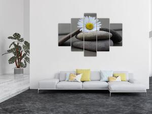 Moderné obrazy na stenu (Obraz 150x105cm)