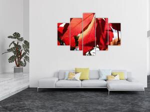 Obraz červených listov (Obraz 150x105cm)