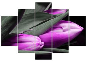 Obraz fialových tulipánov (Obraz 150x105cm)