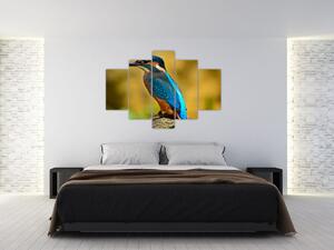 Obraz - farebný vták (Obraz 150x105cm)