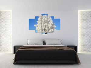 Zasnežený strom - obraz (Obraz 150x105cm)