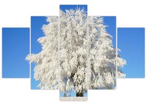 Zasnežený strom - obraz (Obraz 150x105cm)