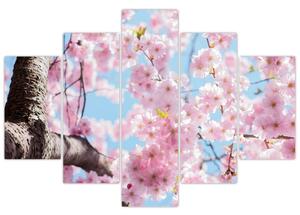 Kvitnúce strom - obraz (Obraz 150x105cm)