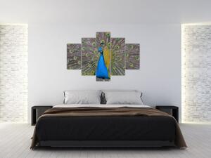 Obraz páva (Obraz 150x105cm)