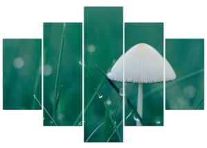 Obraz huby v tráve (Obraz 150x105cm)
