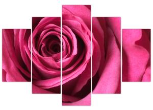 Obraz ružové ruže (Obraz 150x105cm)