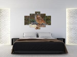 Obrazy zvierat (Obraz 150x105cm)