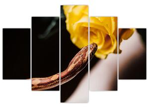 Obraz hada so žltou ružou (Obraz 150x105cm)