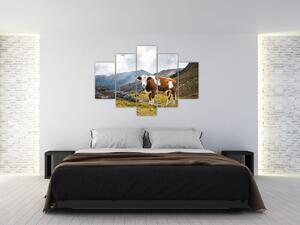 Obraz kravy na lúke (Obraz 150x105cm)