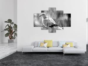 Čiernobiely obraz vtáka (Obraz 150x105cm)