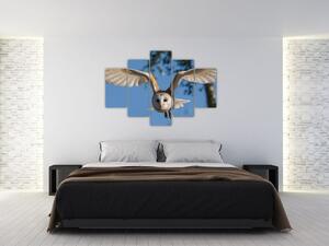 Obraz letiaci sovy (Obraz 150x105cm)