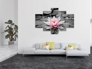 Obraz kvitnúceho lekna (Obraz 150x105cm)