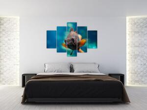 Obraz - ryba (Obraz 150x105cm)
