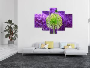 Obraz rastlín (Obraz 150x105cm)