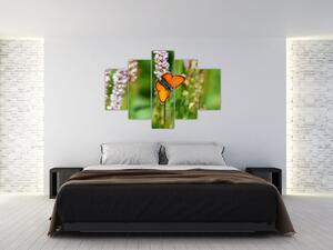 Moderný obraz motýľa na lúke (Obraz 150x105cm)