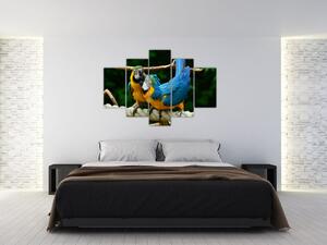 Obraz papagájov na lane (Obraz 150x105cm)