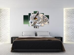 Vyzerajúce sova - obraz (Obraz 150x105cm)