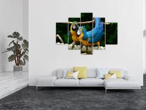 Obraz papagájov na lane (Obraz 150x105cm)