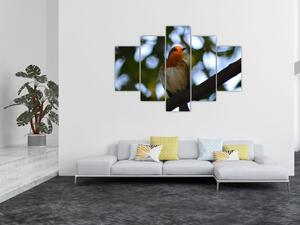 Obraz vtáka na vetve (Obraz 150x105cm)