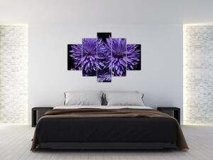 Obraz fialových kvetov (Obraz 150x105cm)