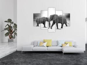 Obraz - slony (Obraz 150x105cm)