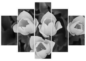 Čiernobiele kvety (Obraz 150x105cm)