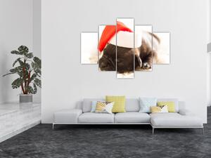 Obraz psa s čiapkou (Obraz 150x105cm)