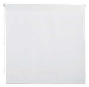 ROLETA, polopriehľadné, 100/160 cm Boxxx - Záclony & závesy
