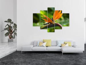 Detail kvetu - obraz (Obraz 150x105cm)