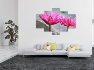 Obraz dvoch kvetov (Obraz 150x105cm)