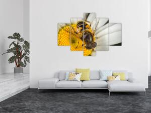 Obraz - detail včely (Obraz 150x105cm)