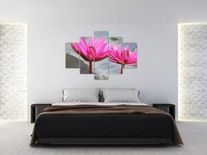 Obraz dvoch kvetov (Obraz 150x105cm)