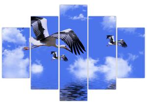 Obraz letiacich bocianov (Obraz 150x105cm)